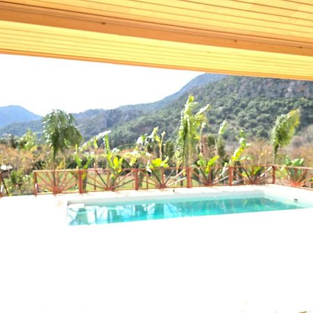 Bellerofon Villa Çıralı エクステリア 写真